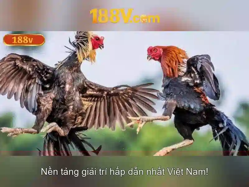 Ưu Đãi 188v