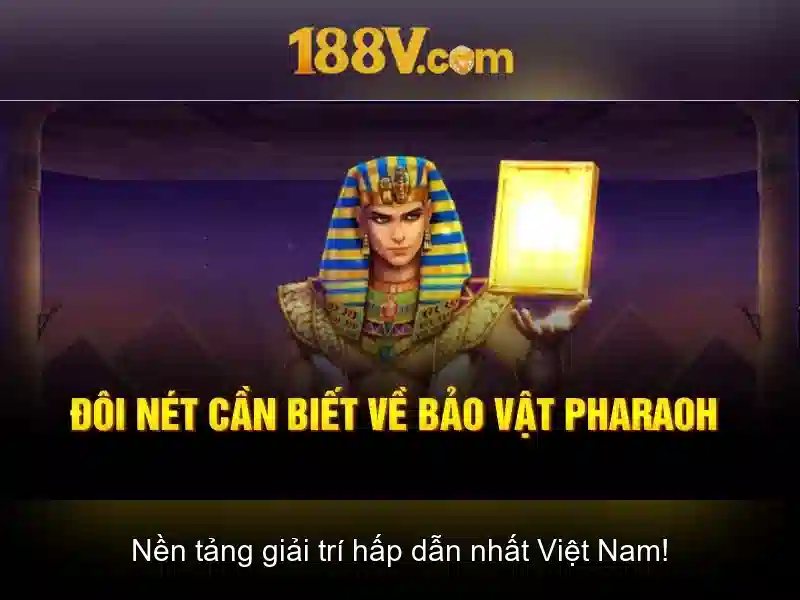 Chính Sách Bảo Vệ Người Dùng 188V